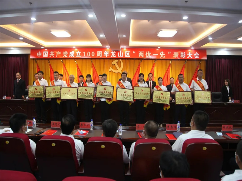 公司黨支部榮獲區委“先進基層黨組織”榮譽稱號