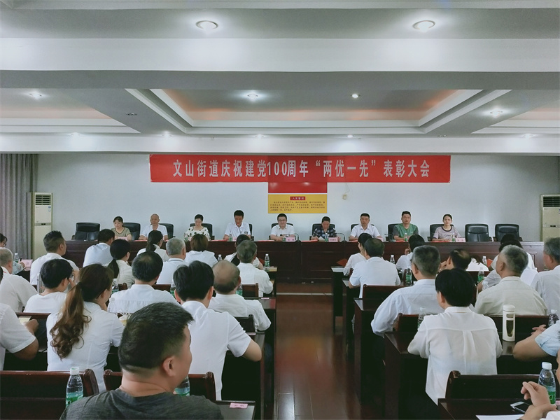 集團支部榮獲2021年度兩優一先表彰